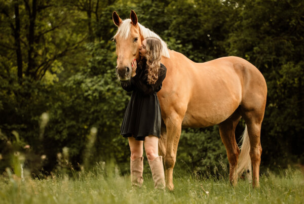 AHA Fotografie nunspeet paardenfotograaf afscheid van je dier afscheid van je paard